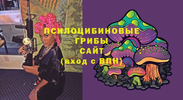 2c-b Краснослободск