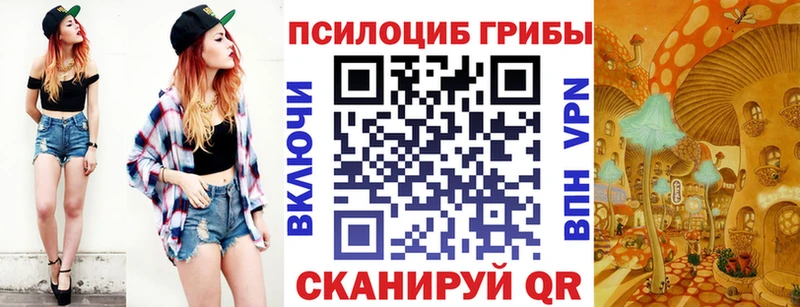 Купить где  Петров Вал  Галлюциногенные грибы Cubensis 